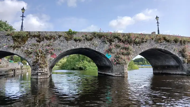 The stone arches of the old bridge at Leighlinbridge seen from the water, with valerian and grasses growing along the parapet.