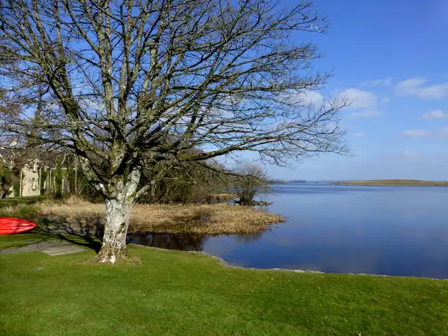 Ein großer kahler Baum steht auf einer Uferwiese auf Lusty Beg neben einem roten Kajak, dahinter Schilf und ruhiges blaues Wasser bis zu einem flachen Ufer.