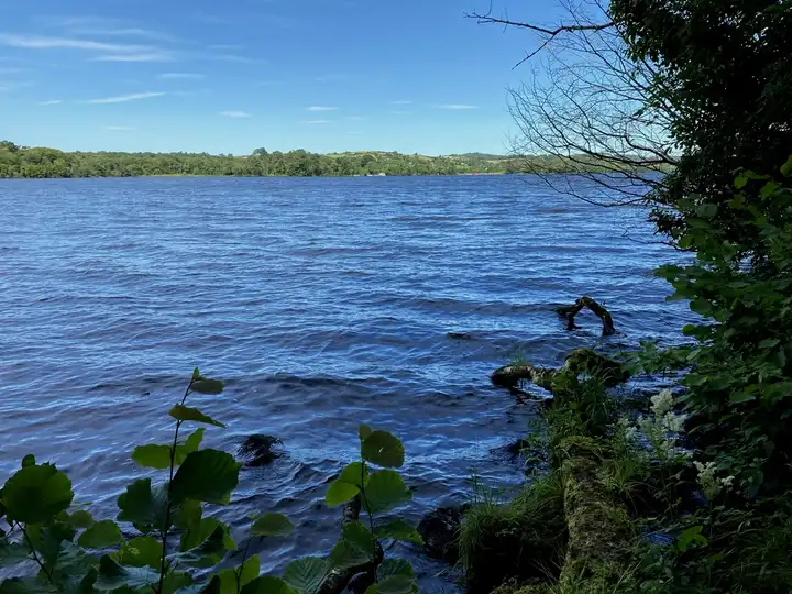 Wind ruffles the deep-blue lough beyond the leafy shore of Castle Caldwell Forest, with low wooded hills on the far side under a summer sky.