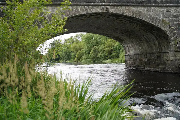 A view under a stone arch of the Erne Bridge in Belturbet to the river and its wooded far bank, with tall grasses in the foreground.