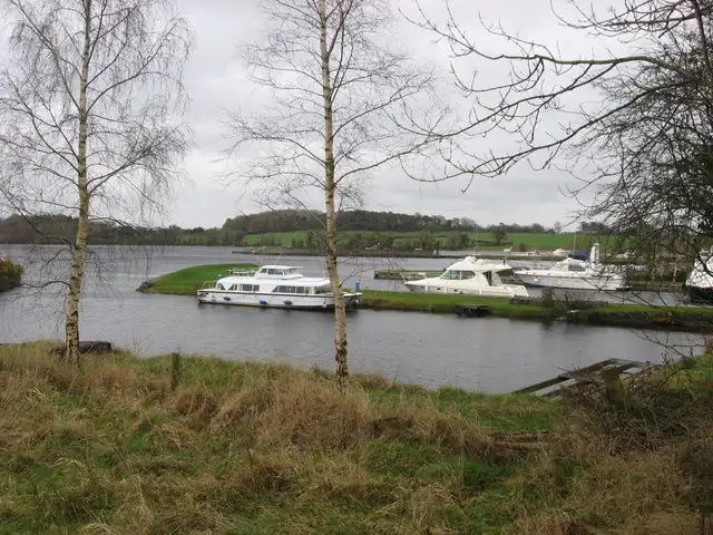 Cruisers moored in the harbours at Terryglass, seen through bare birch trees on a grey winter day.