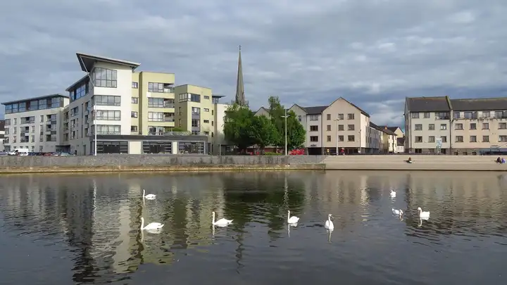 Swans on the River Barrow at Carlow in front of modern riverside apartments and the tall spire of St Mary’s Church.
