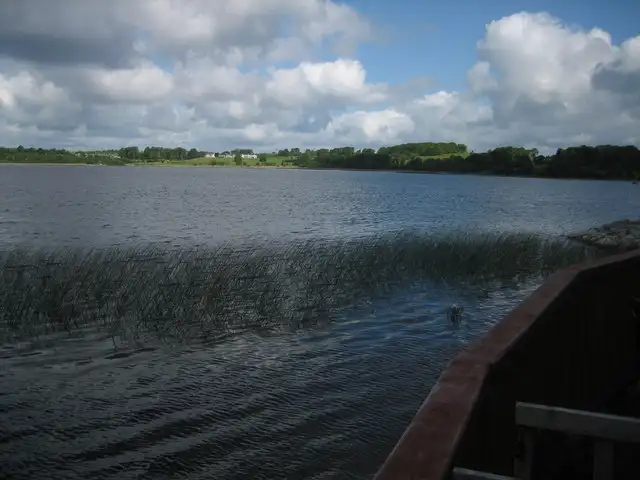 Des roseaux et l’eau libre vus depuis la rive à Wineport Lodge, avec une rambarde en bois au premier plan et des champs verts de l’autre côté du lac.