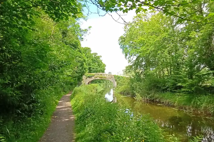 The stone arch of Milford Bridge over the leafy lock cut, seen from the towpath.