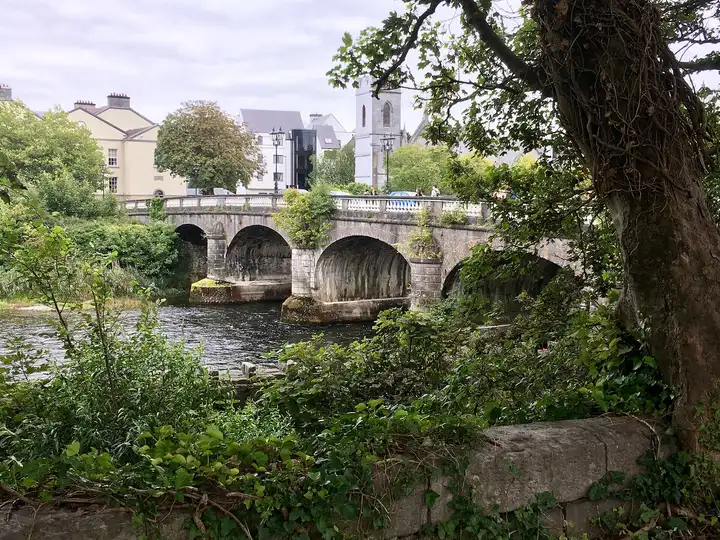 De stenen bogen van de Salmon Weir Bridge over de River Corrib in Galway, gezien vanaf de begroeide oever, met herenhuizen en een kerktoren erachter.