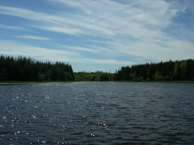 Le soleil scintille sur l’Acres Lake près de Drumshanbo, bordé de sombres forêts de conifères sous un ciel strié de nuages.