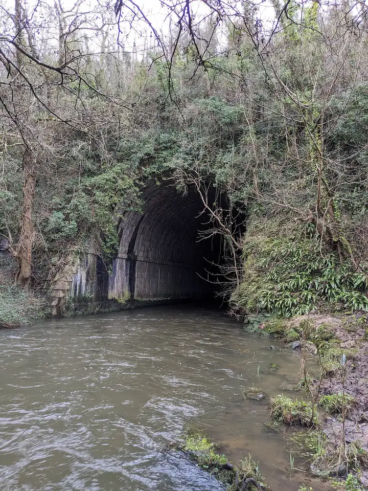 La rivière Rye sort du sombre tunnel de pierre qui passe sous l’aqueduc de Ryewater, entre des berges couvertes de lierre et des arbres dénudés.