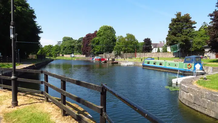 Narrowboats and small cruisers lie moored at pontoons in Mullingar Harbour on a sunny day, with tall copper beeches and a stone wall around the basin and a wooden fence in the foreground.