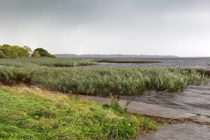 Wind-bent reeds and a concrete ramp on the Lough Derg shore near Portumna, with the open lake under a grey sky.