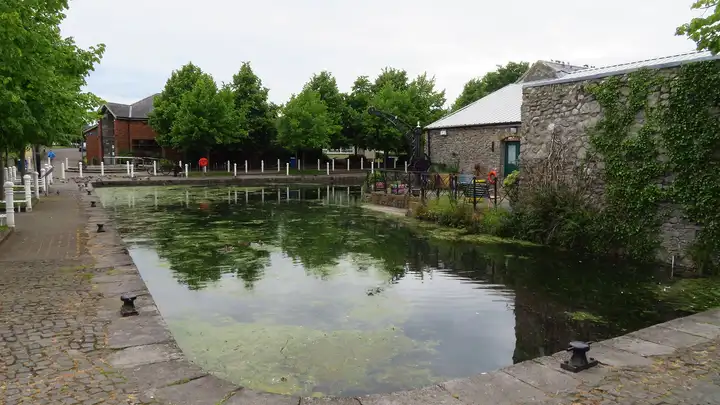 Das ruhige Kanalbecken in Naas mit Wasserpflanzen auf der Oberfläche, gepflasterten Kais mit Pollern und den restaurierten Steinspeichern zwischen Bäumen.