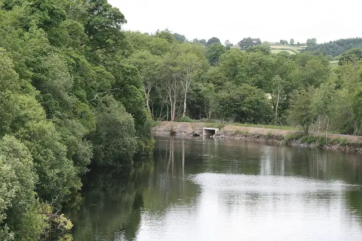 The River Boyle at Knockvicar runs calm between thickly wooded banks, with a stone embankment along the far side.