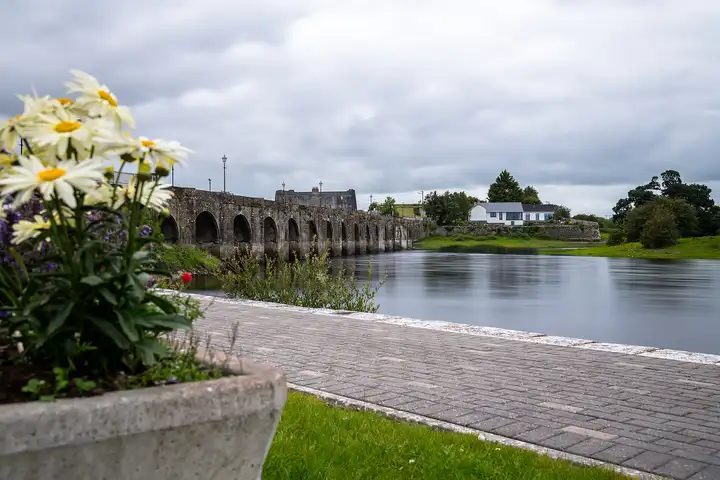Margeriten in einem Pflanzkübel am gepflasterten Uferweg von Shannonbridge, mit Blick über den ruhigen Shannon auf die vielbogige Brücke und die Festung an ihrem anderen Ende.