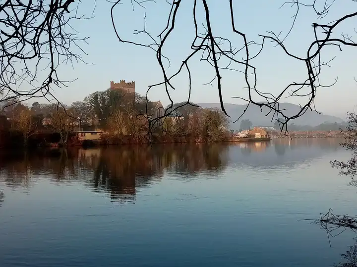 Killaloe et la tour de la cathédrale Saint-Flannan se reflètent dans le Shannon immobile un matin d'hiver, encadrés de branches nues.
