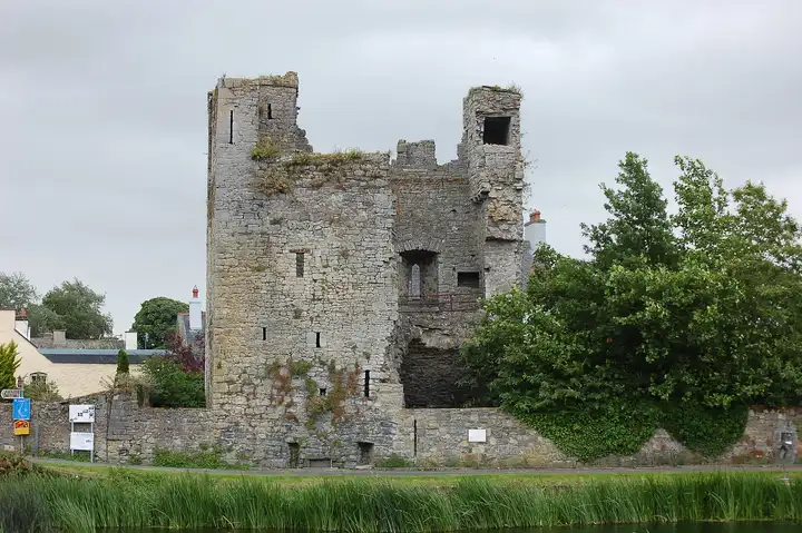 Die Ruine des Black Castle in Leighlinbridge über den Fluss hinweg gesehen, ihr Steinturm erhebt sich über Schilf und Bäume.