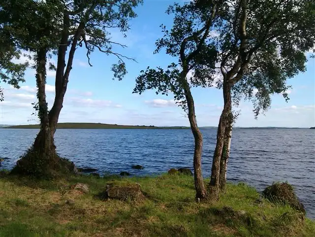 Schlanke Bäume an einem Grasufer rahmen von Lusty Beg aus die offene Wasserfläche des Lower Lough Erne an einem hellen Tag.