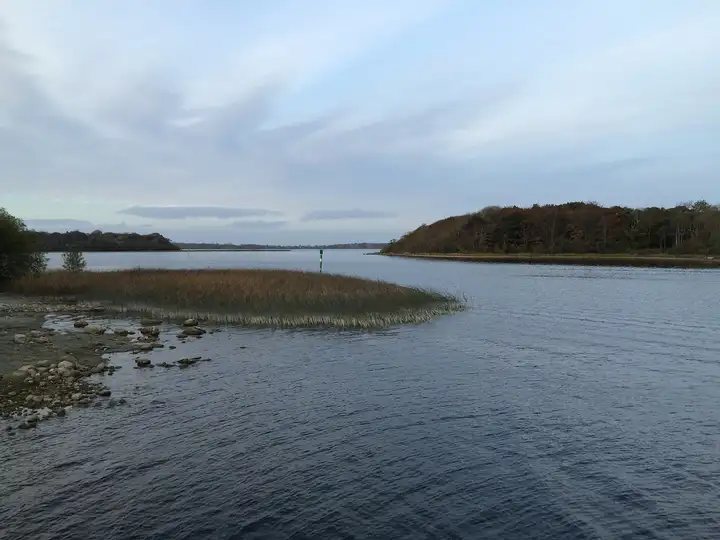 Ein Schilfgürtel und eine Fahrwassermarke vor Coosan Point, gegenüber eine bewaldete Landspitze über ruhigem Wasser an einem Herbstabend.