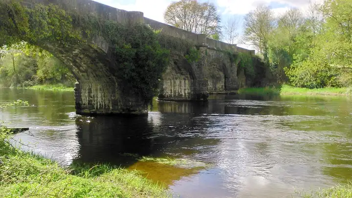 The ivy-covered stone arches of the old railway bridge cross the River Erne at Belturbet between green, grassy banks.
