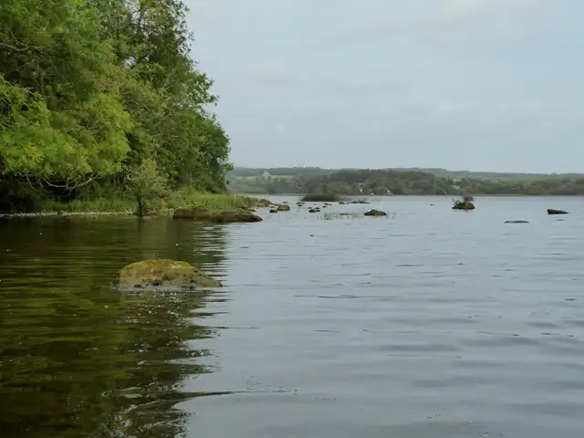 Bäume über dem Ostufer von Inis Cealtra, bemooste Felsen im ruhigen, flachen Wasser und das ferne Seeufer dahinter.