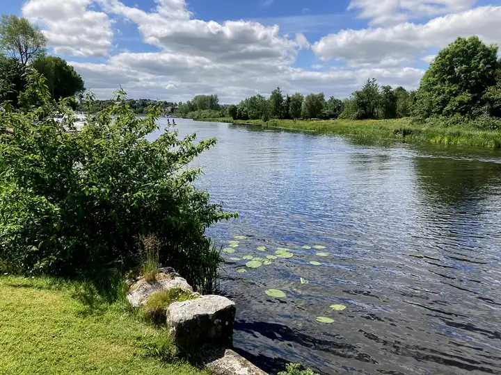 Seerosenblätter treiben an einem grasbewachsenen Ufer mit Felsblöcken am River Erne in Enniskillen, der Fluss zieht sich an einem sonnigen Tag zwischen grünen Ufern dahin.