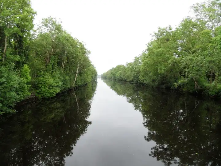 The straight, tree-lined Jamestown Canal above Albert Lock lies still under a pale sky, the trees on both banks mirrored in the water.