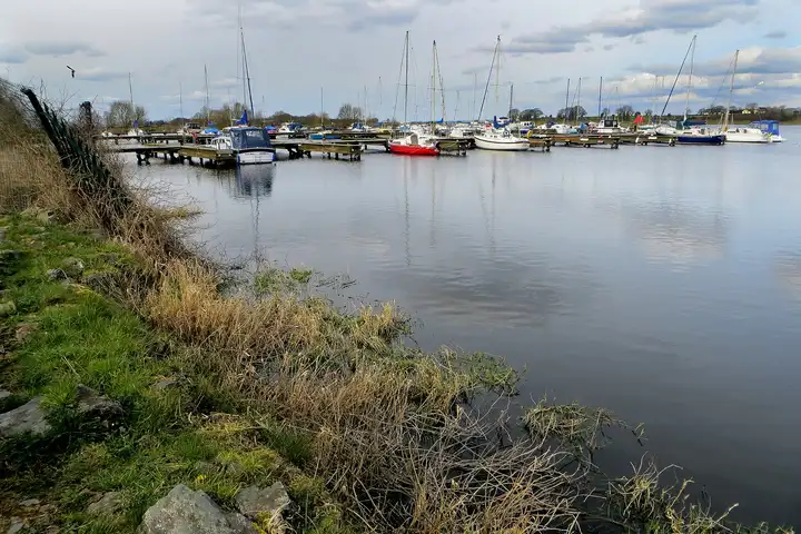 Yachts and motor boats moored at the pontoons of Kinnego Marina, seen across the calm basin from a grassy, stony bank.