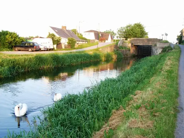 Twee zwanen op het kanaal bij de 12e sluis, met de lage verkeersbrug vooruit, een grazig jaagpad rechts en huizen langs de weg links.