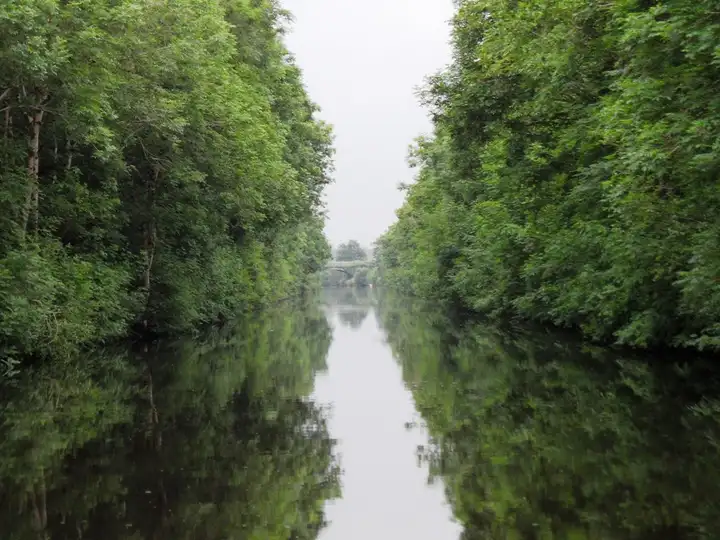 Het Jamestown Canal loopt kaarsrecht tussen dichte groene bomen naar een brug in de verte, met de oevers weerspiegeld in het stille water.
