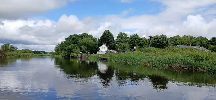 La large Barrow en amont de l’écluse d’Ardreigh, avec des roseaux le long des berges et la maison éclusière blanche entre les arbres au loin.