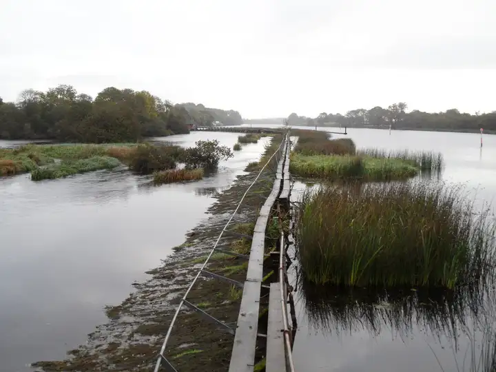 Het smalle looppad op de stuw van Meelick voert op een grijze dag tussen rietkragen over de Shannon.