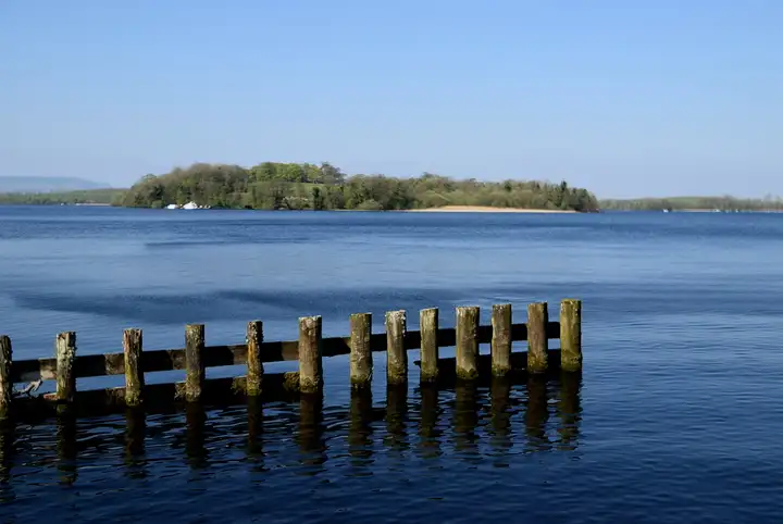 White Island, low and wooded with a pale beach and boats at its shore, lies across calm blue water beyond a row of old jetty posts.