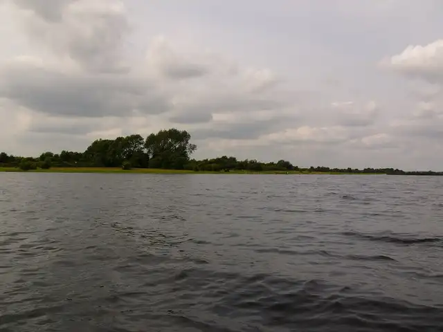 The low wooded shore of Inchbofin seen across choppy water on Lough Ree under a cloudy sky.