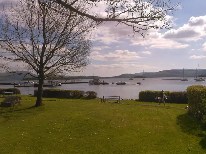 The lawn above Mountshannon harbour, with a bare tree, a bench and boats moored on the lake under a bright sky.