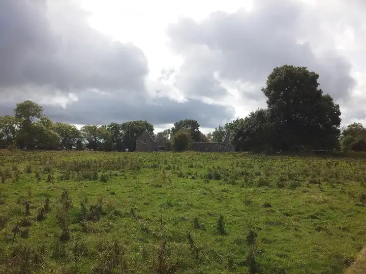 The roofless stone churches of the monastic site on Inchcleraun, seen across a rough field among trees under heavy clouds.