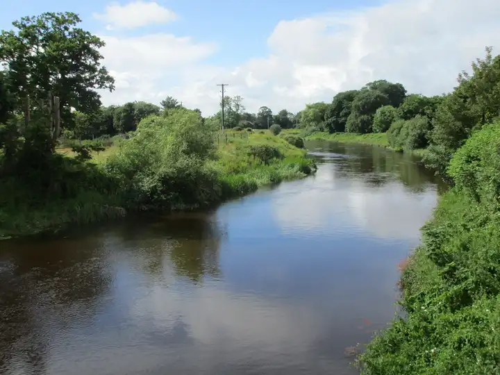 The River Barrow winding between green, overgrown banks near Monasterevin under a bright summer sky.