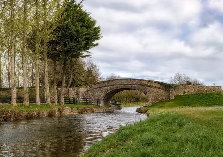 Colgan’s Bridge, un pont en pierre en dos d’âne sur le canal près d’Edenderry, encadré de grands arbres et de berges verdoyantes.