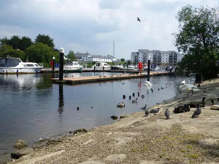 Schwäne, Enten und Tauben auf der Slipanlage am Round O Quay in Enniskillen, neben Schwimmstegen und festgemachten Motorkreuzern.