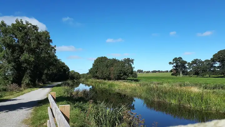 The reed-fringed Royal Canal runs past open fields and old oaks near Enfield, with the gravel greenway and a wooden fence on the left under a bright blue sky.