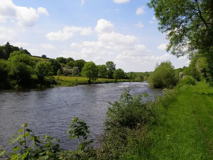 The River Barrow flowing between grassy banks and leafy trees just below Borris Lock on a sunny day.