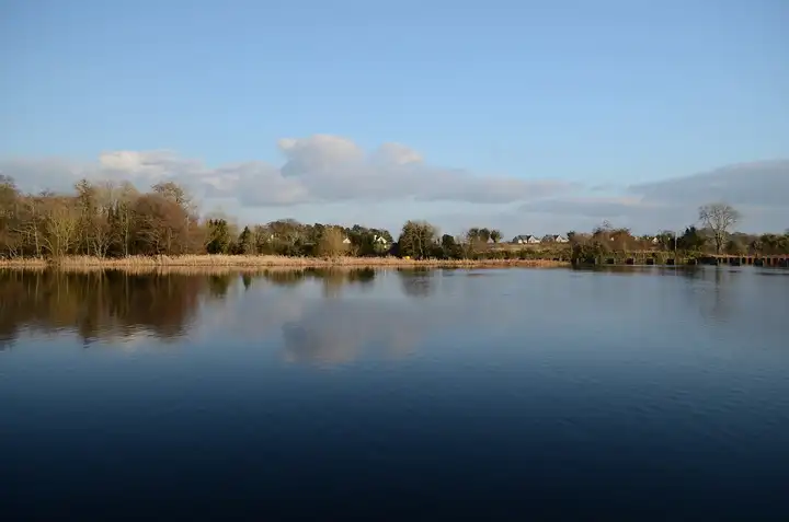 The calm, wide Shannon at Tarmonbarry mirrors a blue sky, with reed beds, bare trees and village houses along the far bank and the line of the weir on the right.