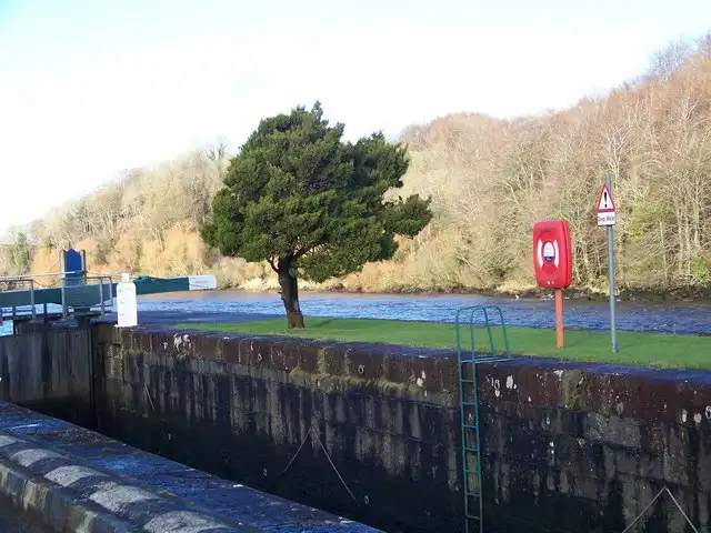 Ein dunkler immergrüner Baum auf der Grasböschung neben der Schleusenmauer an den Cutts, dazu ein Rettungsringpfosten, dahinter der Fluss und bewaldete Hänge.